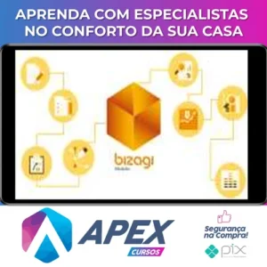 Modelagem de Processos com Bizagi - Pedro Junqueira