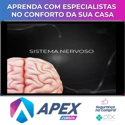 Fisiologia do Sistema Nervoso - Fisiologia Didática