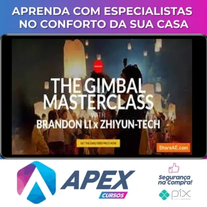 The Gimbal Masterclass - Brandon Li [INGLÊS]