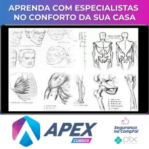 Livros de Desenho - Andrew Loomis