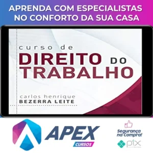 Curso de Direito do Trabalho 12ª Edição - Carlos Henrique Bezerra Leite