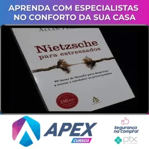 Nietzsche para Estressados - Allan Percy