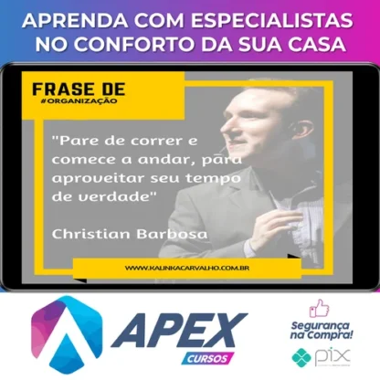 Viva Com Organização - Christian Barbosa