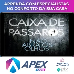 Caixa de Pássaros - Josh Malerman