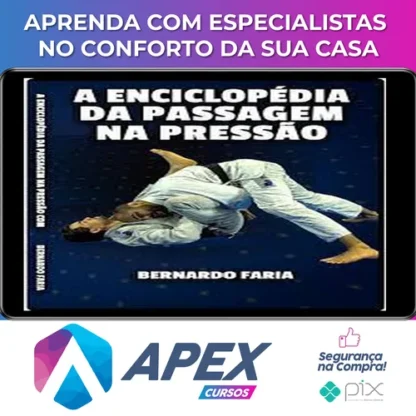 Enciclopédia da Passagem na Pressão - Bernardo Faria