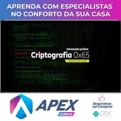Criptografia 0x65 - Desec