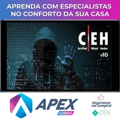 ITpro tv Certified Ethical Hacker v10 (CEH v10) - EC-Council [INGLÊS]