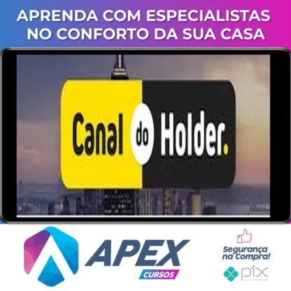 Ações, Fiis, Stocks e Reits: do Básico ao Avançado - Fabio Faria (Canal Do Holder)