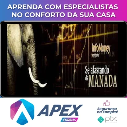 Curso Se Afastando Da Manada - Infomoney