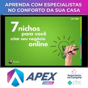7 Nichos para Você Criar seu Negócio Online - Luiz Nicolak