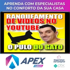 Pulo do Gato 4.0: Ranqueamento de Vídeos no Youtube - Erivelton