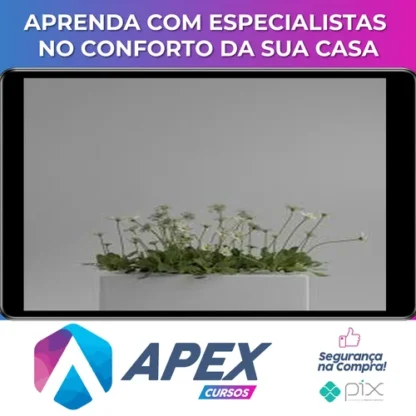 Shading no Blender para Iniciantes - Rafael Vallaperde