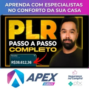 Aprenda Passo a Passo como Lucrar com Produtos PLR - Noemi Nakandakari