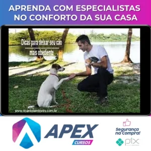 Desafio Cão Obediente - Marcelo Bessa