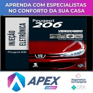 Injeção Eletrônica: Peugeot 206 - VideoCarro