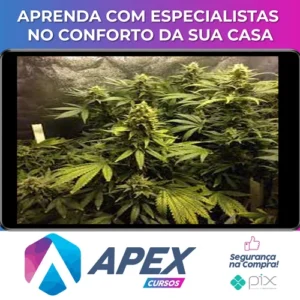 Cultivo Indoor de Plantas Medicinais - Jean Silva