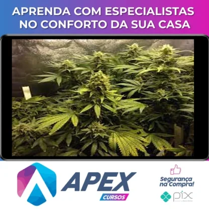 Cultivo Indoor de Plantas Medicinais - Jean Silva