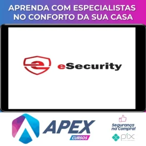 Treinamento Analista de Segurança Junior Básico - eSecurity