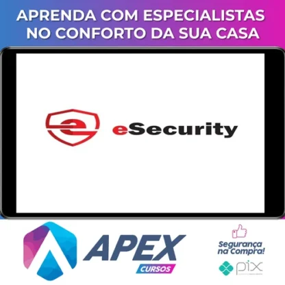 Treinamento Analista de Segurança Junior Básico - eSecurity