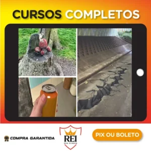 Linkedin: Cinema 4D R23 Essential Training VFX - Andy Needham [INGLÊS]