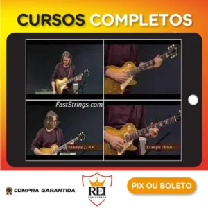 Art Of Blues Rhythm - Robben Ford [INGLÊS]