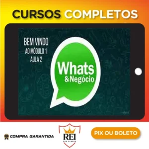 Como Vender Mais Usando o Whatsapp - Luiz Felipe Castro